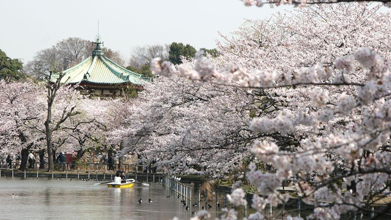 アパート Ueno Station 7min On Foot/cozy Apartment/convenient Location 東京都